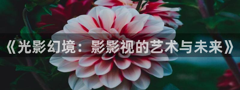 人人影院艳史：《光影幻境：影影视的艺术与未来》