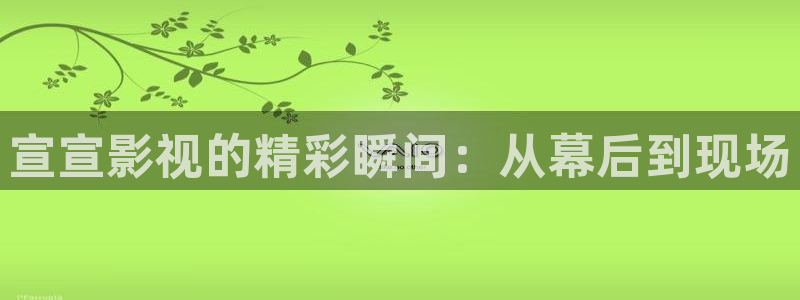 超碰在线97人人：宣宣影视的精彩瞬间：从幕后到现场