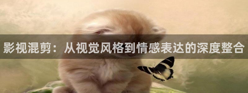 人人鲁在线视频：影视混剪：从视觉风格到情感表达的深度整合
