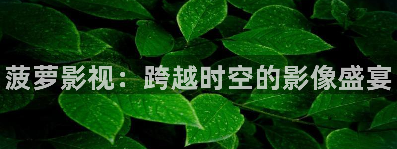 超碰97人人人：菠萝影视：跨越时空的影像盛宴